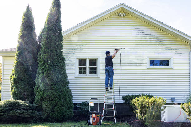 Deck Cleaning Services